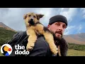 Guy Climbs A Mountain and Finds A Puppy On The Peak | The Dodo