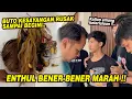 Download Lagu Buto kesayangan Enthul hancur berkeping-keping !! KAMI SEMUA AUTO P4NIK