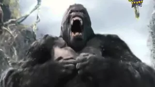 أنا مش خرونج اناكينج كونج دندنها