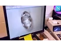 I Found A REAL DIAMOND Mining For Diamonds In Arkansas