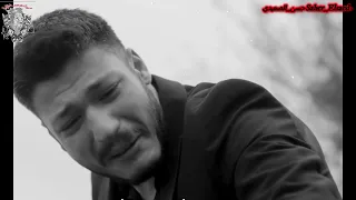 الشاعر حسن الصعيدي حالت واتس ياطير حزين مروح ع بلادك حزين جد ا جد ا 