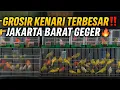 Download Lagu BUSEET! TERNYATA PENDATANG BARU INI PUSAT GROSIRAN KENARI TERBESAR DI JAKARTA BARAT! VOC BIRD
