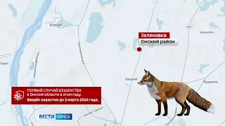 Первый случай бешенства выявлен в Омской области в этом году