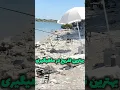 Download Lagu با طبیعت مهربان باشیم  #ماهیگیری #میثم_فیشر #کپورگیری #طبیعتگردی #آموزش_ماهیگیری #carpfishing