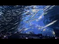 Download Lagu Kenny Chesney’s Epic Opening Night at the Las Vegas Sphere | Stunning Intro Visuals!