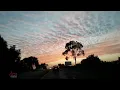 ESTELA NÚÑEZ - Cielo rojo