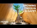 Download Lagu Building a cafe with open roofs in Thailand | Harudot Chonburi by NaNa Coffee Roasters