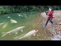 Download Lagu How to Harvesting A Lot Of Big Fish From Mud Pond To Sell At Market - Farm Life | Ly Tieu Kha