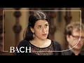 Download Lagu Bach - Magnificat BWV 243 - Van Veldhoven | Nederlandse Bachvereniging