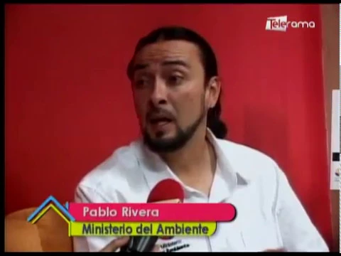 Nacimientos Navideños sin elementos naturales