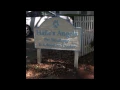 Haile s Angels Pet Rescue Working to End Needless Euthanizations