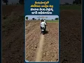 Download Lagu Jagan Supporters Forced to Walk Along Fields | greatandhra.com