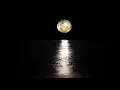 Download Lagu Beethoven's Moonlight Sonata and the sound of the waves 3 HOURS [Music for sleep and relaxation]
