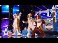 Download Lagu Ant, Dec and Stephen fool Judges with secret Britain's Got Talent Audition | BGT 2019