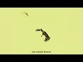 Bird On The Wire (Official Lyric Video)