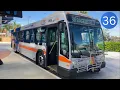 Riding Broward County Transit Bus 36 Lauderhill Transit Center to Sawgrass Mills Gillig BRT 40