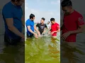 Download Lagu Kabhi aisa kiya hai sach batana?😂😁 swiming ati hai?😁 Salman Noman❤️ #shorts #summerofshorts