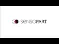 Vision sensor VISOR Detector Pattern