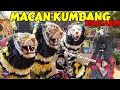 Download Lagu BARONGAN SIDO ASIH BONDO LIVE SROBYONG ACARA KHITANAN | MACAN KUMBANG