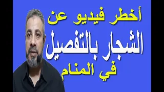 تفسير حلم رؤية الشجار بالتفصيل في المنام اسماعيل الجعبيري 