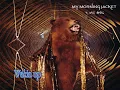My Morning Jacket - One big Holiday (Lyrics) HD