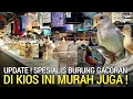 PASAR BURUNG ! SPESIALIS BURUNG GACORAN MASTERAN DI KIOS INI MURAH JUGA PASAR BURUNG PRAMUKA 