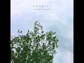 Clarity