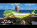 Download Lagu Jeremy Wade’s Ultimate FISH ALPHABET Challenge! | River Monsters