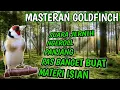 Lagu GOLDFINCH GACOR || BURUNG GOLFINCH NGROLL SUARA JERNIH MASTERAN PALING JITU @bangbhulux