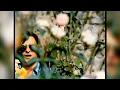 Nino Bravo - Un Beso Y Una Flor (DJ Capde Remix) Edit VDJParri