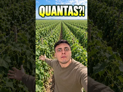 Isso ALIMENTA quantas FAMÍLIAS? 🫪 #humor #comida #fazenda