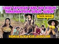 Lagu PANEN SINGKONG DAN BIKIN KUE JADUL SEMUA SANGAT MAKAN BERSAMA SUSI DAN PONAKAN