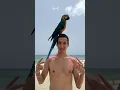 Download Lagu My 10-Day Vacation in a Tropical Island Paradise (Self-Made Hype Edit, Part 1)