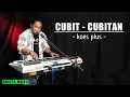 Download Lagu Cubit - cubitan ( koes plus cover )