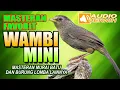 MASTERAN SUARA WAMBI MINI GACOR | FULL ISIAN VOLUME KERAS TEMBAKAN KASAR