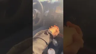 ده ومن اول دقيقه لحبك قلبي مال 