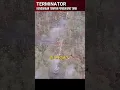 Kehandalan Terminator di medan laga (@prishedshi) #shorts  #military