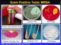 Lagu Introduction to Microbiology Culture Techniques