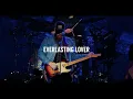 49 Winchester - Everlasting Lover (Live at The Caverns)