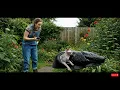 Download Lagu rescue animal: Neighbors Unite for Incredible Backyard Cat Rescue