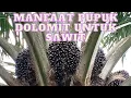 Download Lagu MANFAAT PUPUK DOLOMIT BAGI SAWIT