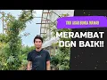 Download Lagu BEGINI CARA BIKIN MAWAR MERAMBAT