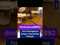 Download Lagu foto postingannya dengan yang aslinya berbeda..#trending #reels #shortvideo #viralvideo