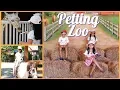 White Post Animal Farm and Petting Zoo in New York