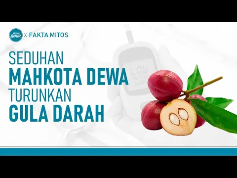 Seduhan Mahkota Dewa Bisa Menurunkan Gula Darah