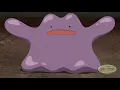 Ditto Transform - Pokemon Journeys