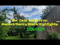 Mr. Osis' Daily Dive: Recent Harry Mack Highlights (2024-08-09)