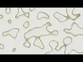 Animated Pattern Overlay Background