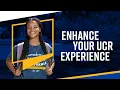 Resources Every Undergraduate Needs