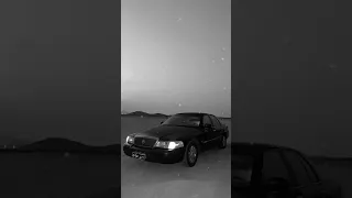مصري بتسالني انا سيد الشيخ مسرع دندنها